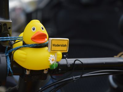 Quitscheente mit dem Ortsschild Wadersloh auf einem Fahrradlenker.